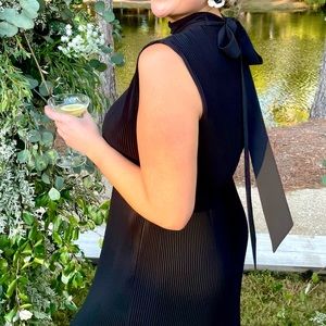 Black Melina Solid Pleated Dress